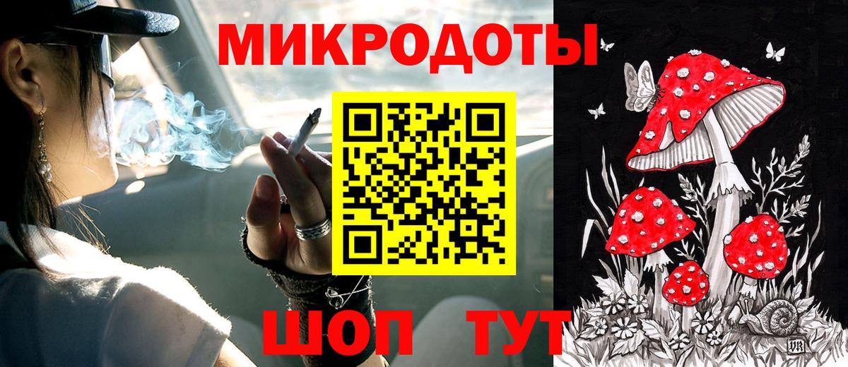 Боровичи  Галлюциногенные грибы Psilocybine cubensis  Вход с VPN 