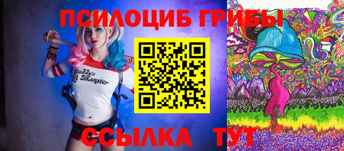 Псилоцибиновые грибы MAGIC MUSHROOMS  Боровичи 